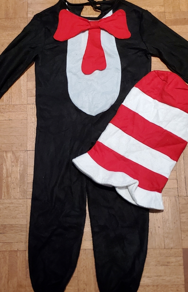 Halloween Costume